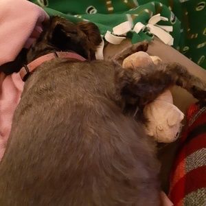 Meet your Posher, Melissa